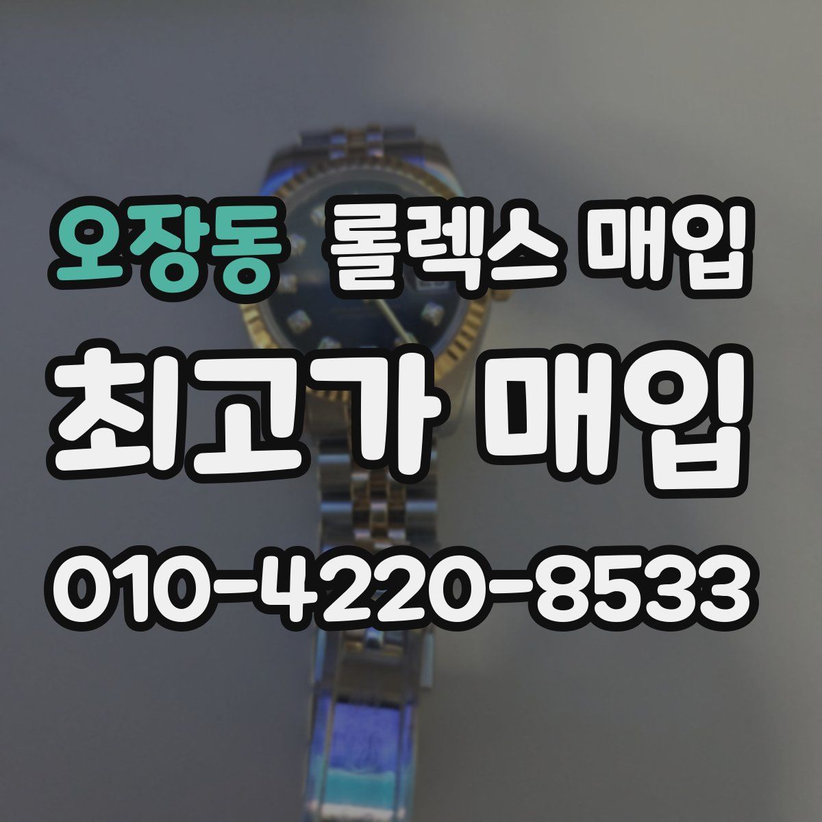 오장동 롤렉스 매입