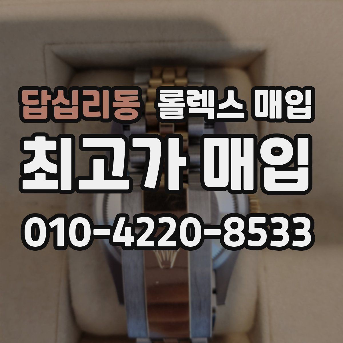 답십리동 롤렉스 매입 오피셜 퍼페츄얼 시세 흐름 요약
