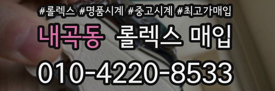 내곡동 롤렉스 매입