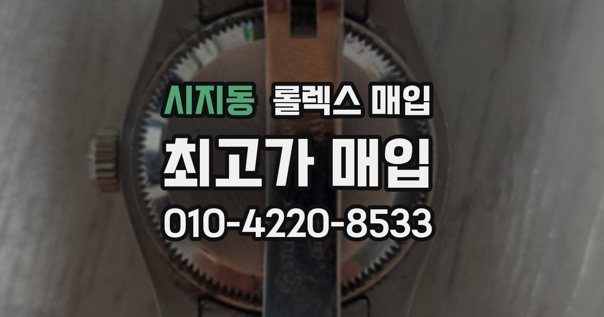 시지동 롤렉스 매입