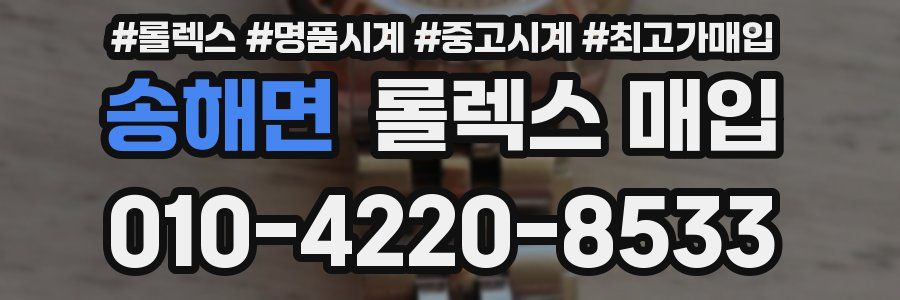 송해면 롤렉스 매입