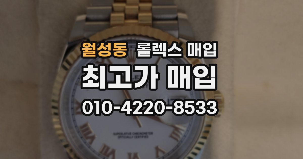 월성동 롤렉스 매입