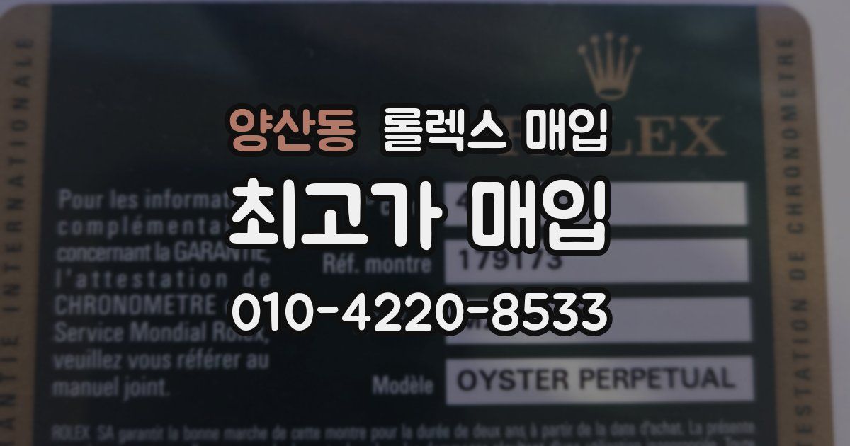 양산동 롤렉스 매입