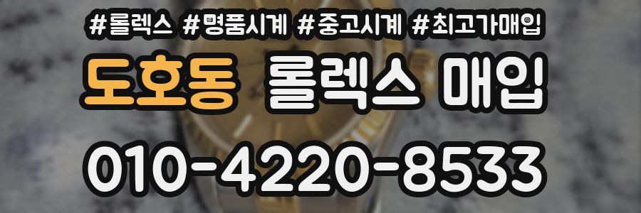 도호동 롤렉스 매입