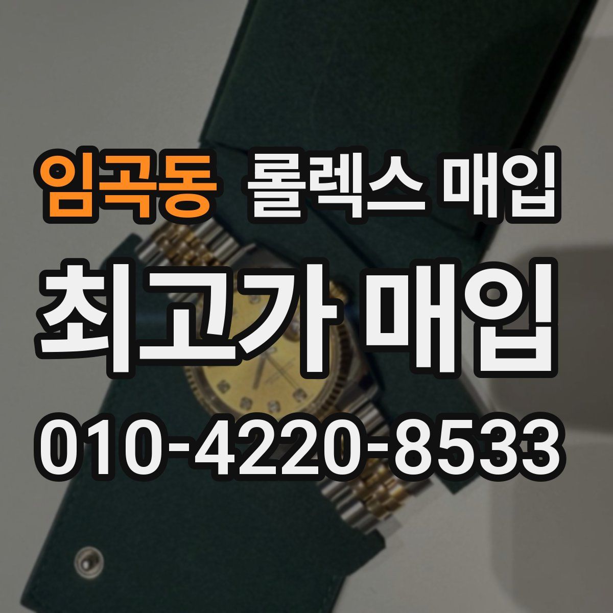 임곡동 롤렉스 매입