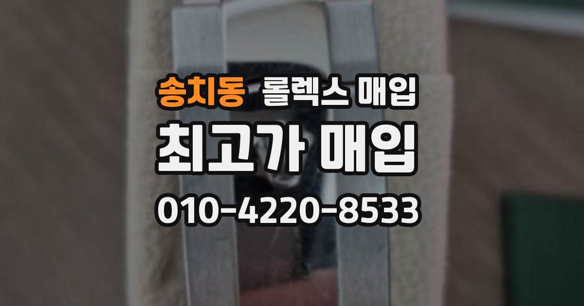 송치동 롤렉스 매입