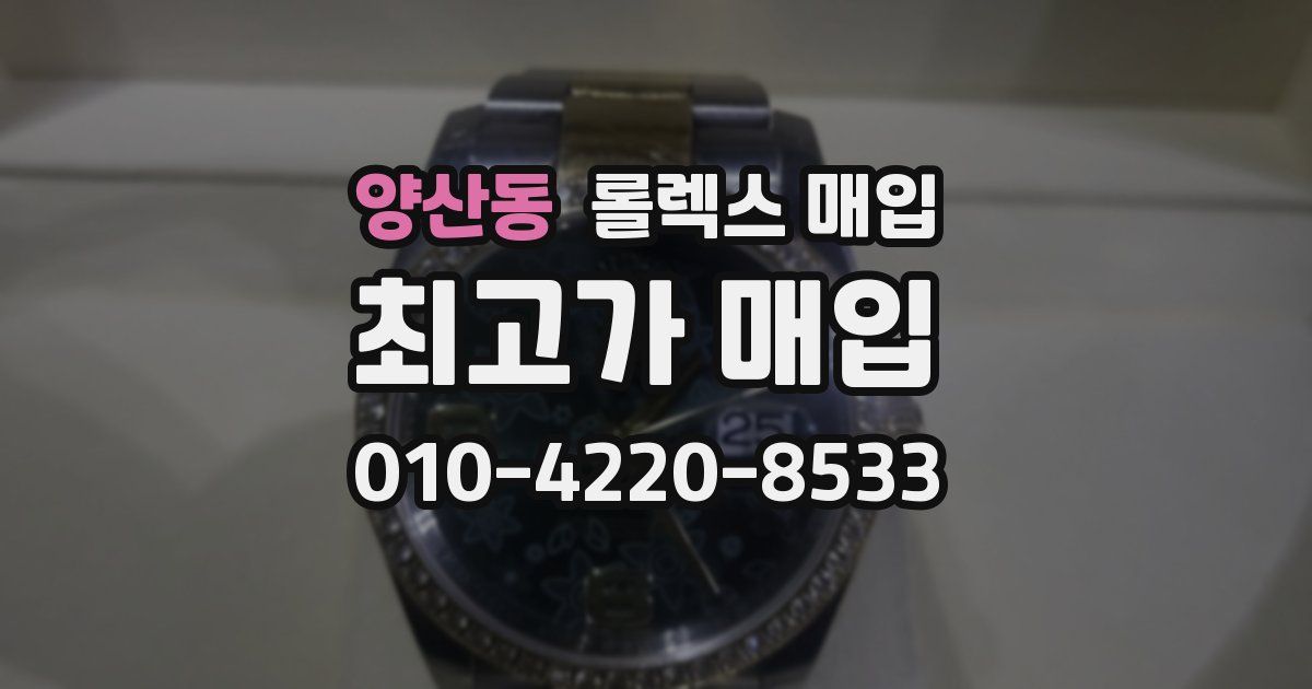양산동 롤렉스 매입