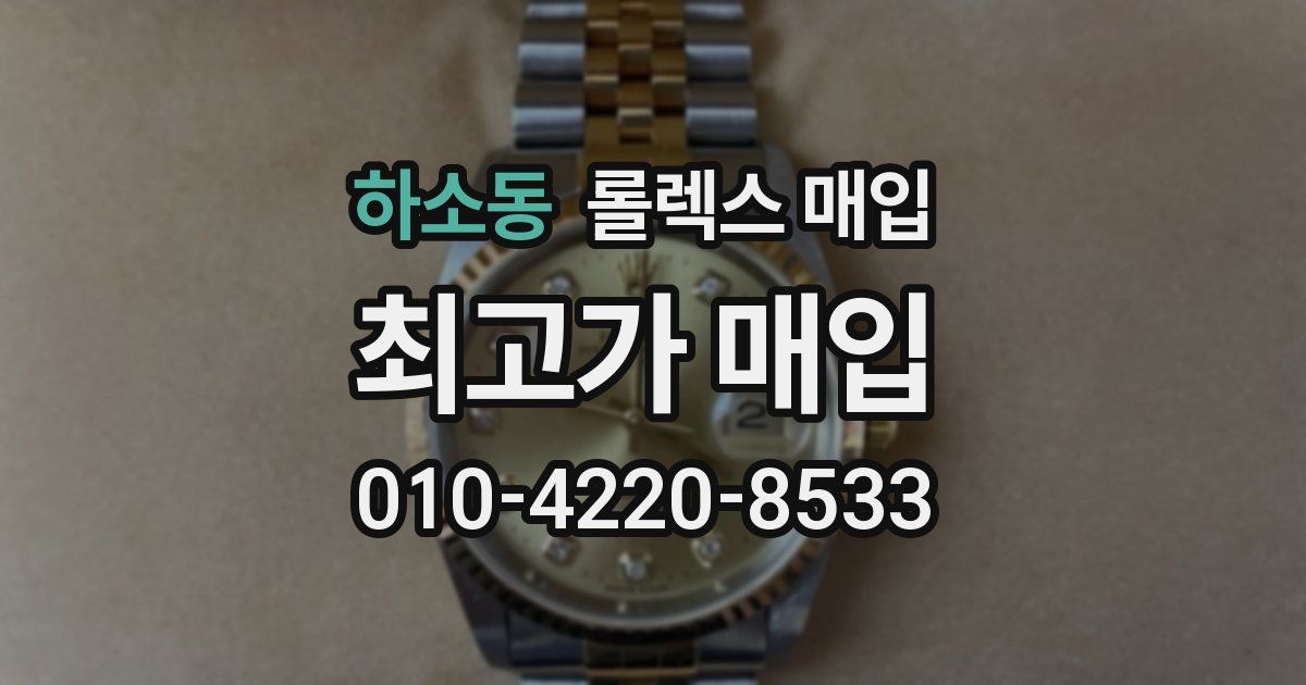 하소동 롤렉스 매입
