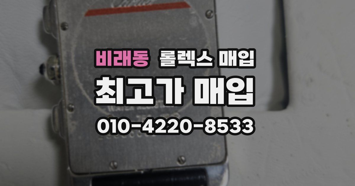 비래동 롤렉스 매입
