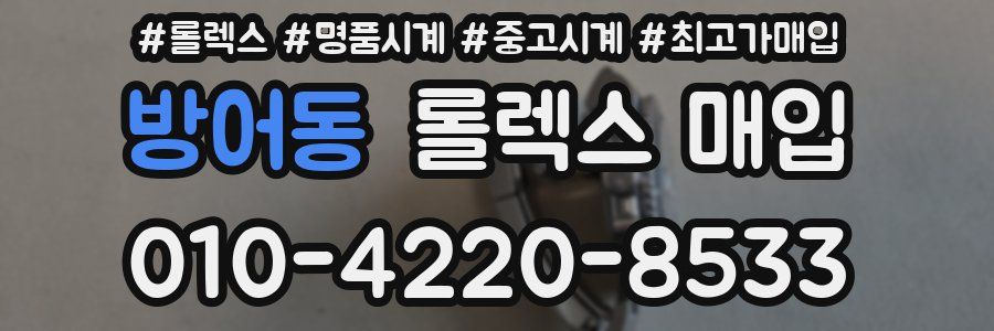 방어동 롤렉스 매입