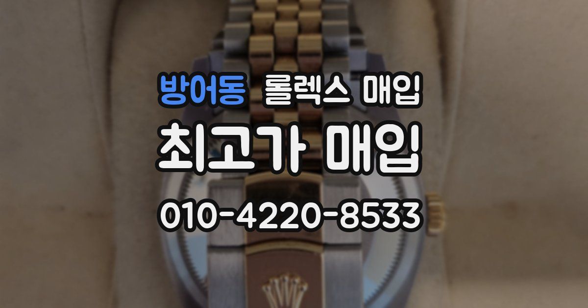 방어동 롤렉스 매입