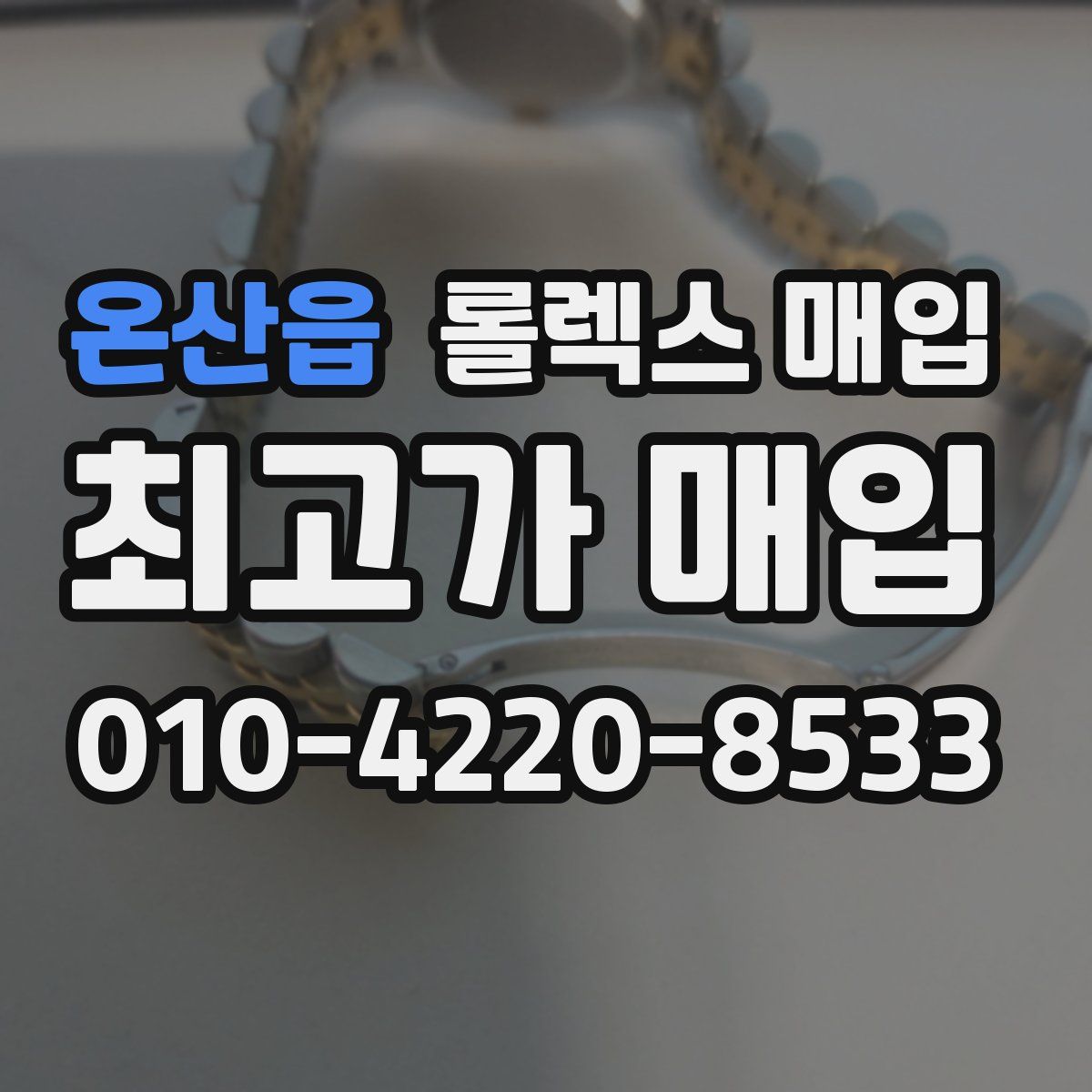 온산읍 롤렉스 매입