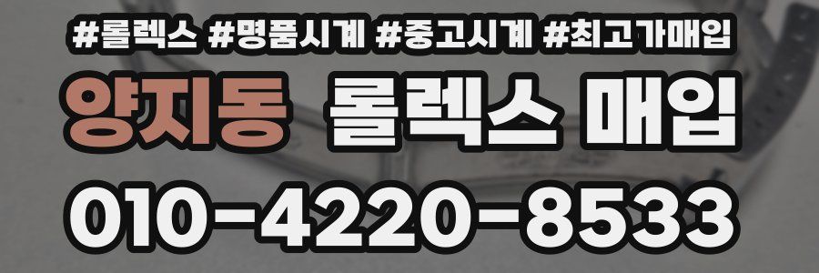 양지동 롤렉스 매입