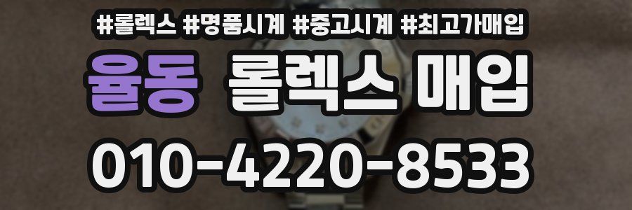 율동 롤렉스 매입