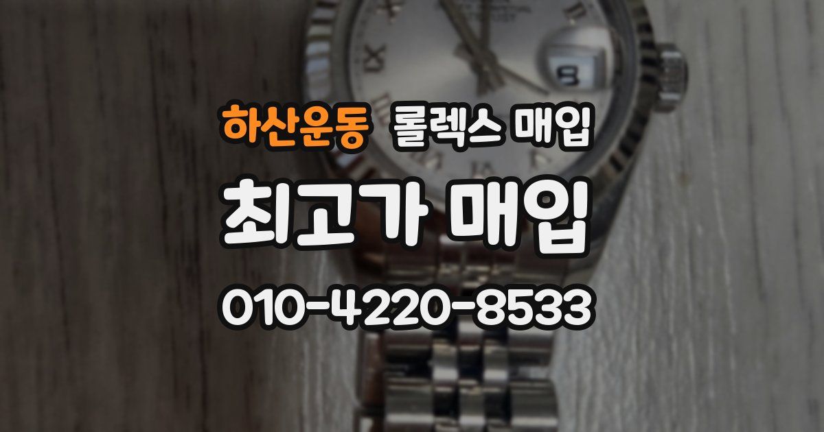 하산운동 롤렉스 매입
