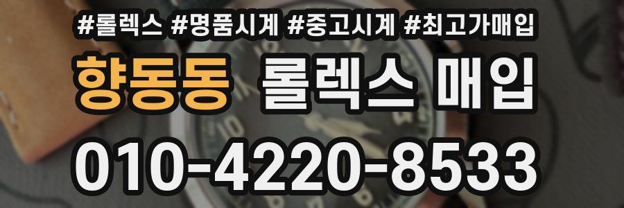 향동동 롤렉스 매입