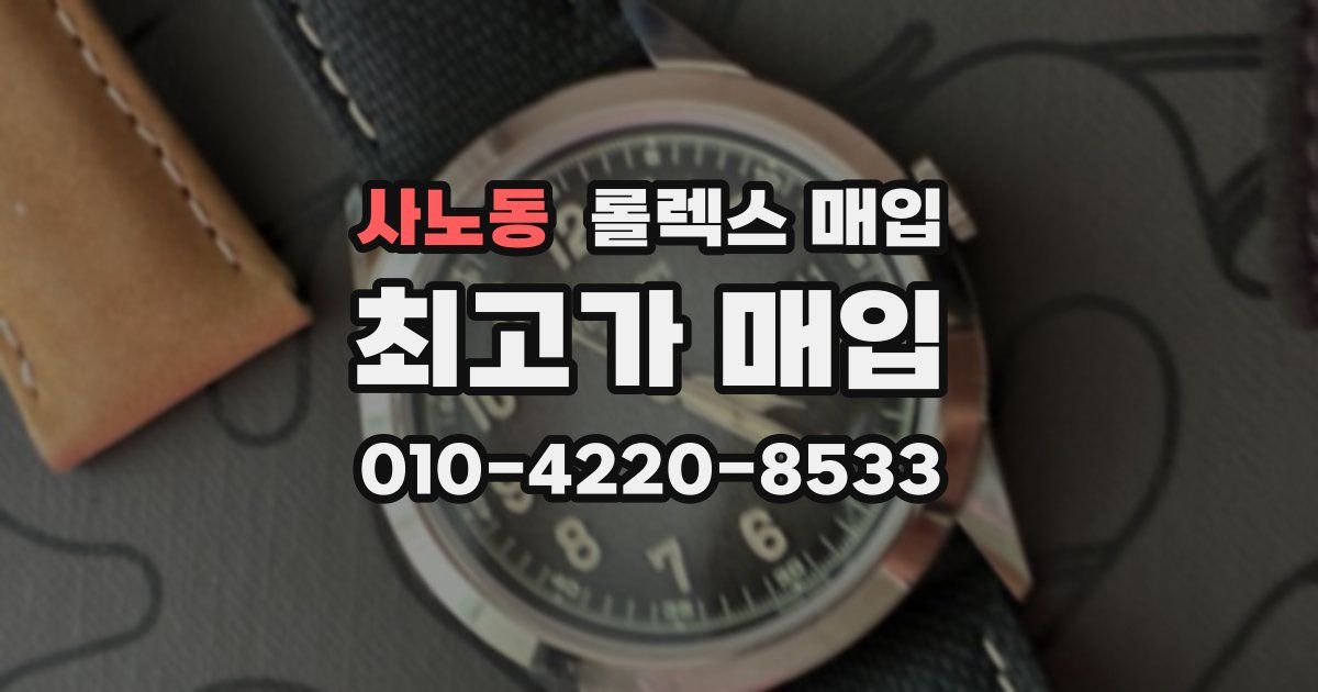 사노동 롤렉스 매입