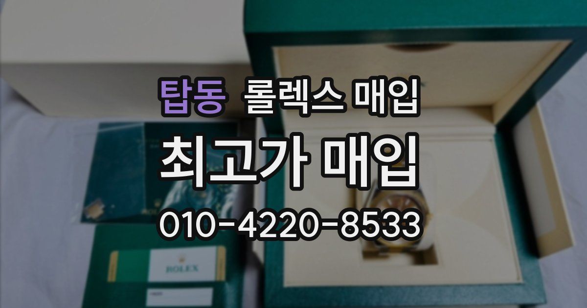 탑동 롤렉스 매입