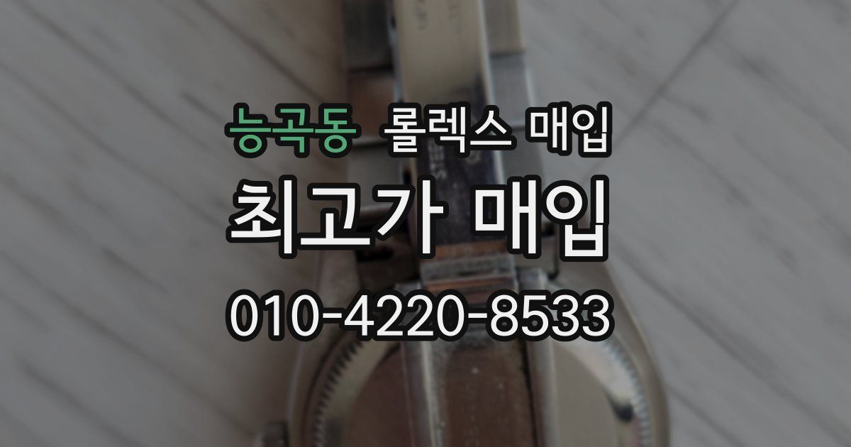 능곡동 롤렉스 매입