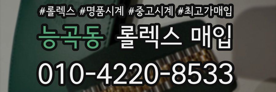 능곡동 롤렉스 매입