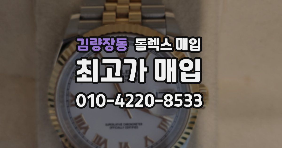 김량장동 롤렉스 매입