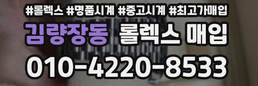 김량장동 롤렉스 매입