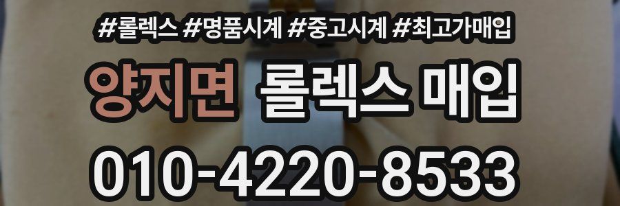양지면 롤렉스 매입
