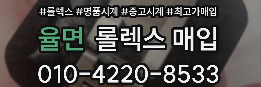 율면 롤렉스 매입