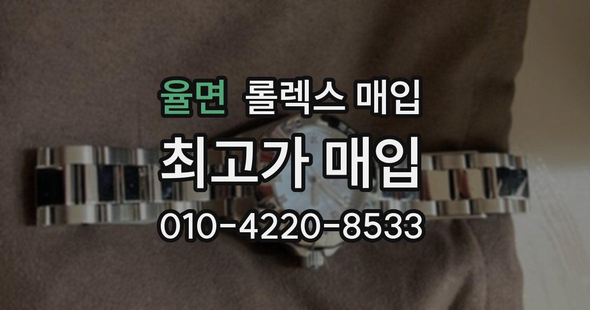 율면 롤렉스 매입