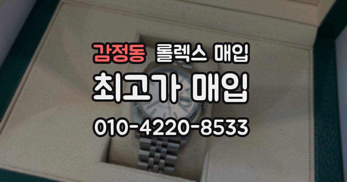 감정동 롤렉스 매입