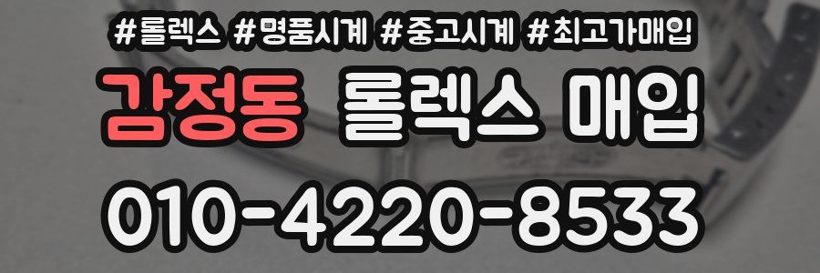 감정동 롤렉스 매입