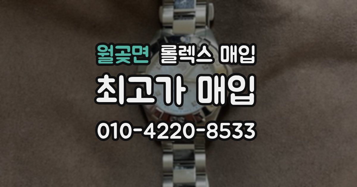 월곶면 롤렉스 매입