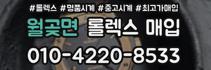 월곶면 롤렉스 매입