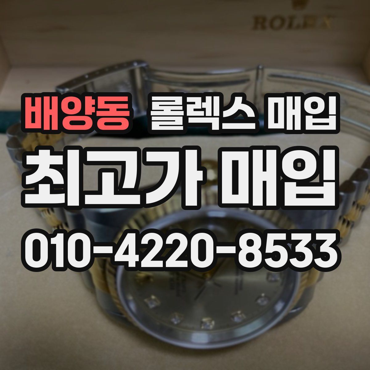 배양동 롤렉스 매입