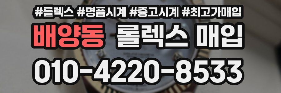 배양동 롤렉스 매입