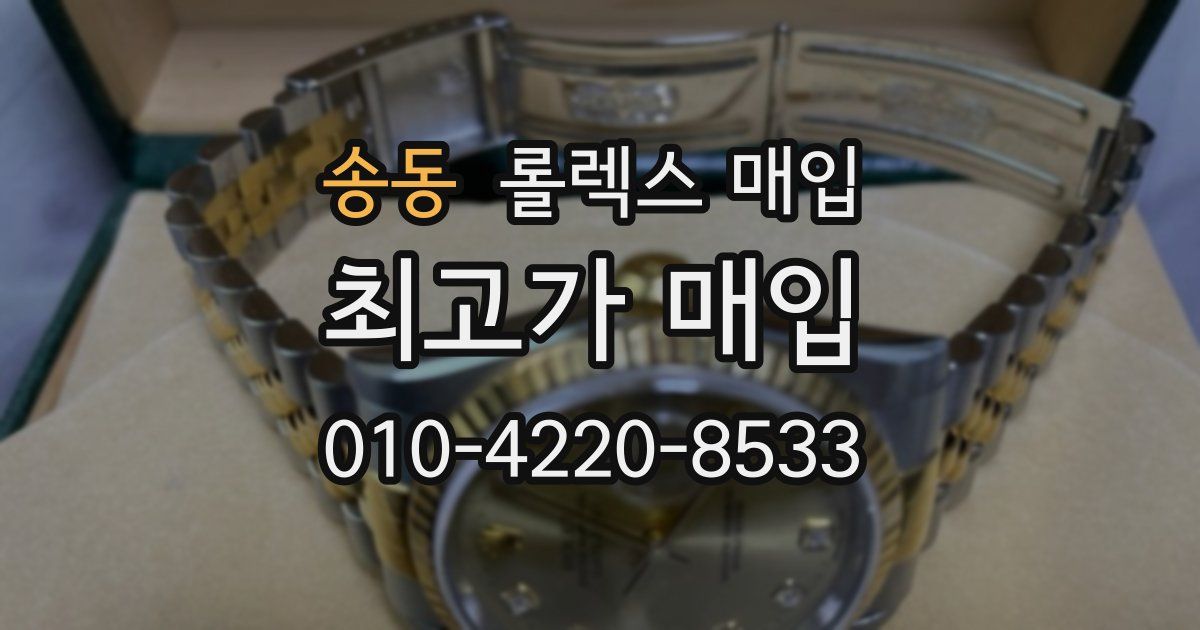 송동 롤렉스 매입