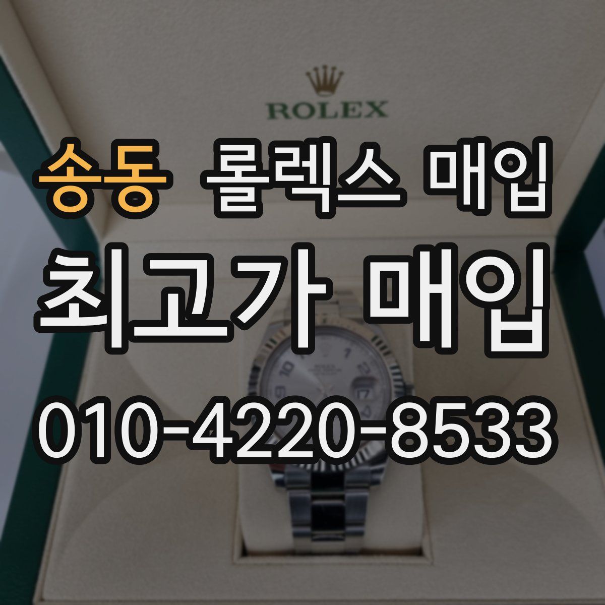 송동 롤렉스 매입