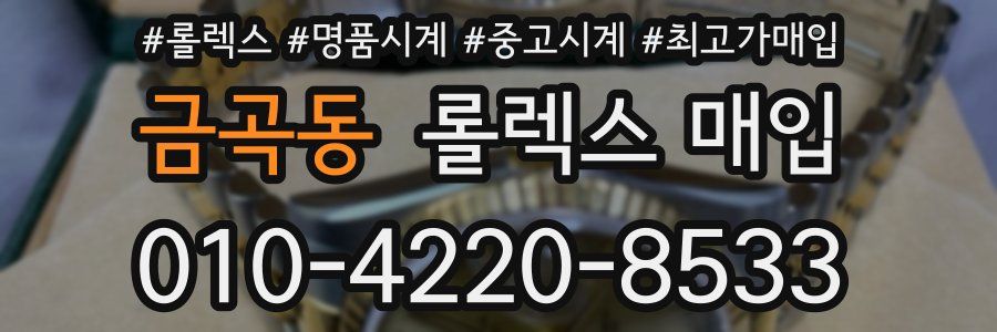 금곡동 롤렉스 매입