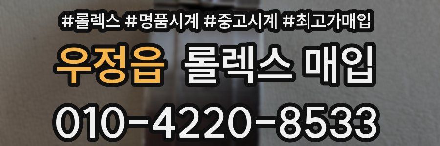 우정읍 롤렉스 매입