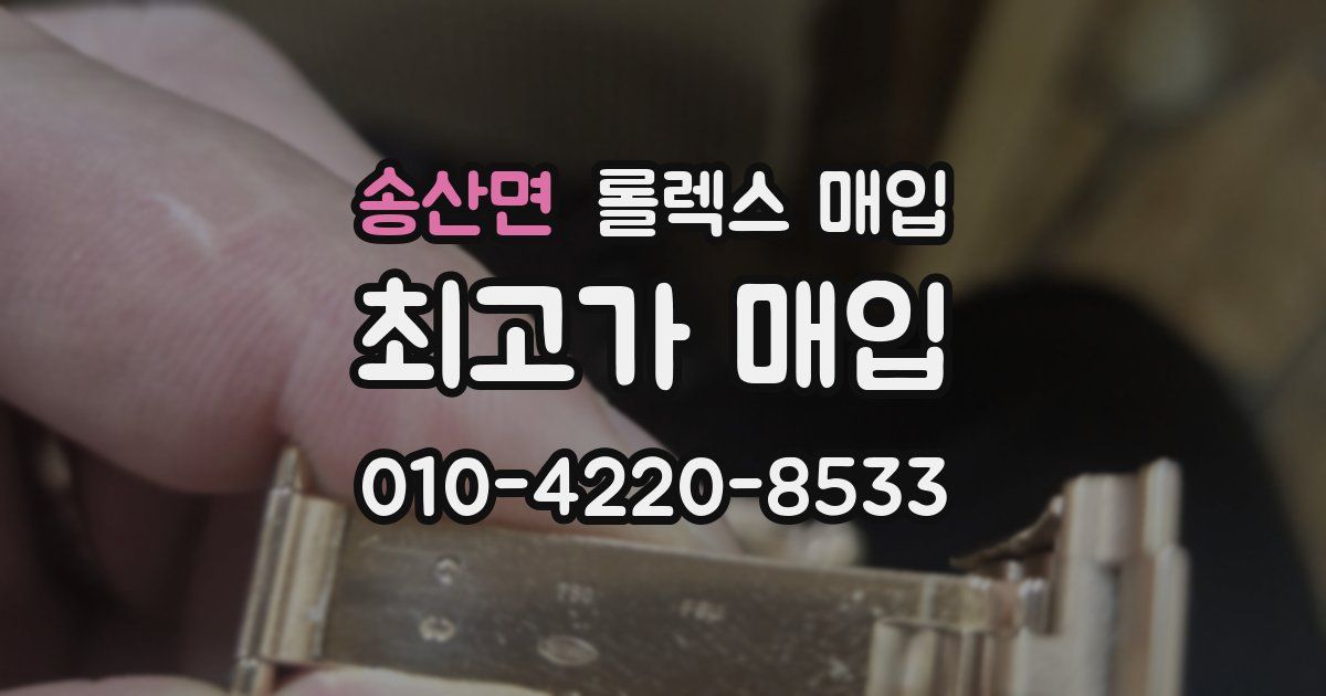 송산면 롤렉스 매입