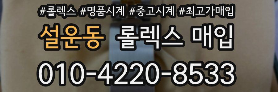 설운동 롤렉스 매입