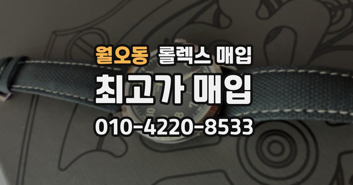 월오동 롤렉스 매입