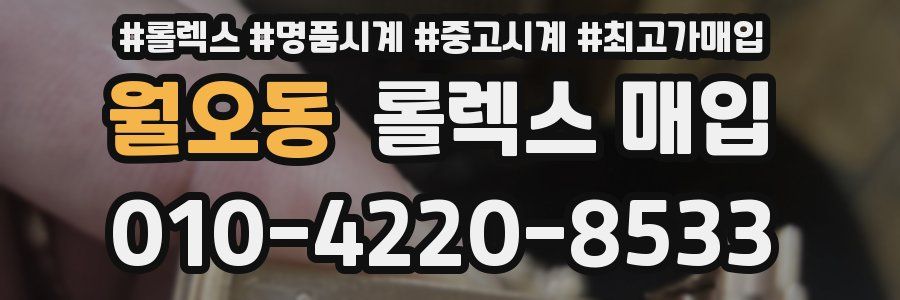 월오동 롤렉스 매입