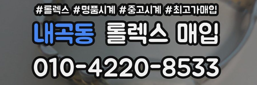 내곡동 롤렉스 매입