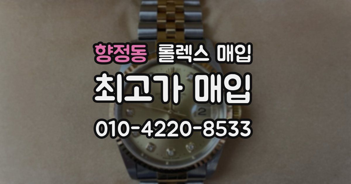 향정동 롤렉스 매입