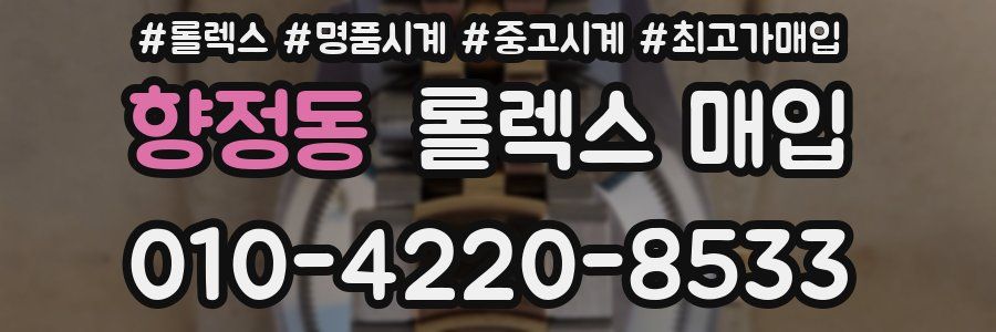 향정동 롤렉스 매입