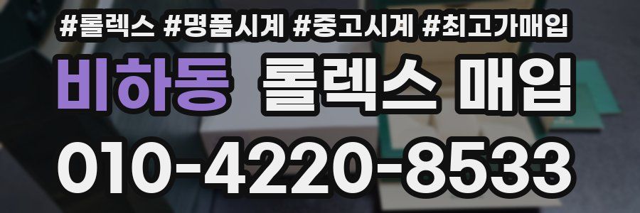 비하동 롤렉스 매입