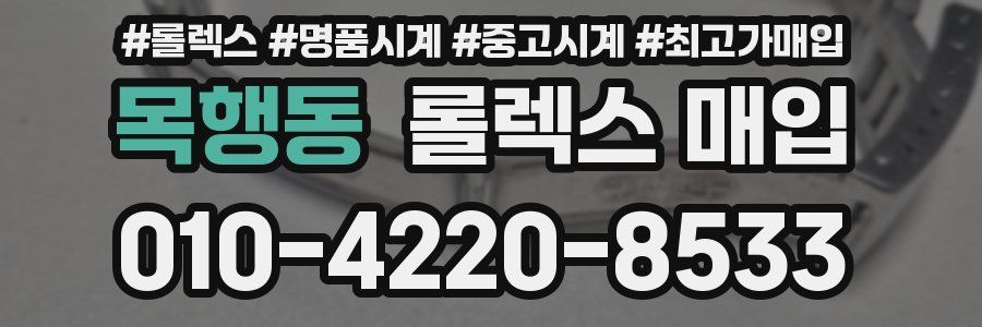 목행동 롤렉스 매입