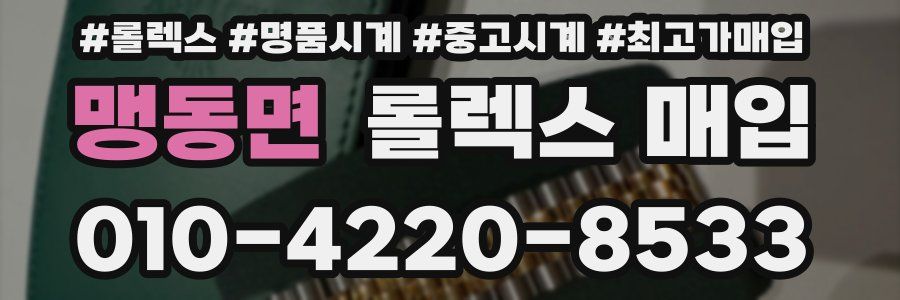 맹동면 롤렉스 매입