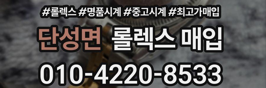 단성면 롤렉스 매입